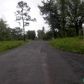 590 LIBBY LANE, Dennard, AR 72629 ID:15900591