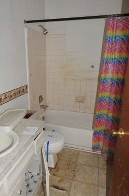 236 Dunham Rd, Sunfield, MI 48890