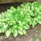 3575 Daylon Dr, Cumming, GA 30028 ID:15647175