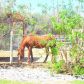 2200 West Old West, Pahrump, NV 89048 ID:15715579