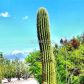 2200 West Old West, Pahrump, NV 89048 ID:15715583