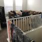 10232 Yarmouth Sea Court, Las Vegas, NV 89166 ID:15279421