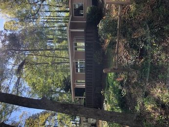 907 Green Meadow Dr, Chapin, SC 29036