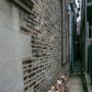 3704 S KING DR Unit 1D, Chicago, IL 60653 ID:15903130