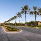 10504 Riva De Fiore Avenue, Las Vegas, NV 89135 ID:14996176