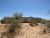 6891 N Calvin Rd Tucson, AZ 85743