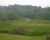 6176 COUNTY RD 109 Mount Gilead, OH 43338