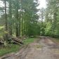 2357 HOLLOW PINE DR, Pine Bluff, AR 71603 ID:15942445