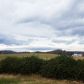 360 Ebenezer Loop, Chuckey, TN 37641 ID:15957295