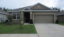 30921 Satinleaf Run Brooksville, FL 34602