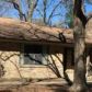 81 WESTWOOD DR, Trinity, TX 75862 ID:15927900