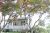 201 W Ashland Avenu Glenolden, PA 19036