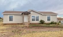 620 N Peach Blossom Snowflake, AZ 85937