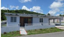 253 (1) Calle Petun Humacao, PR 00791