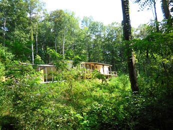 180 Greasy Cove Rd, Seminole, FL 33772