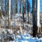 616 N Park St., Boyne City, MI 49712 ID:15966653