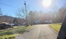 171  TED BROWN RD Chuckey, TN 37641