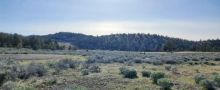 Lot 30 Silver Spur Rd Weed, CA 96094