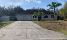 1721 MINNOW CT Kissimmee, FL 34759