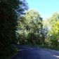 1725 TECH RD, Jewell Ridge, VA 24622 ID:16060130