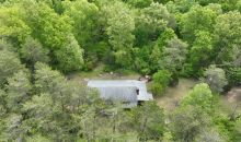 1246 OWL CREEK RD Keysville, VA 23947