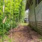 11 -3834 2ND ST, Volcano, HI 96785 ID:16055473