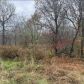3350, Goodlettsville, TN 37072 ID:16056312