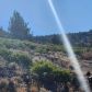 Lot 40, Weed, CA 96094 ID:16061759