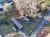 2378 BENEDICT ST Newberry, SC 29108
