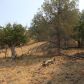 Lot 661 Clark, Hornbrook, CA 96044 ID:16061575