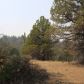 Lot 661 Clark, Hornbrook, CA 96044 ID:16061577