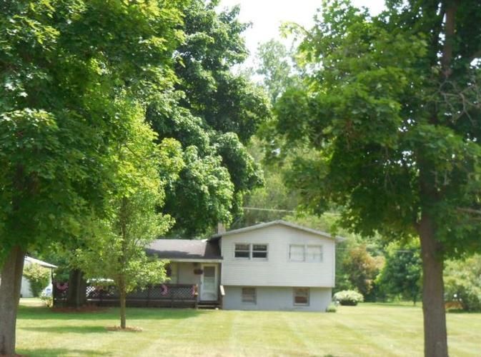 14175 DIXON RD, Dundee, MI 48131