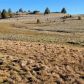 Lot 142 Creekside Rd, Hornbrook, CA 96044 ID:16055949