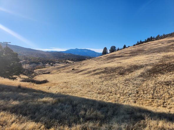 Lot 151 Sugarpine, Hornbrook, CA 96044