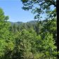 3303 Weber Rd, Placerville, CA 95667 ID:16066707