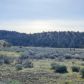 Lot 30 Silver Spur Rd, Weed, CA 96094 ID:16053390
