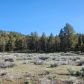 Lot 30 Silver Spur Rd, Weed, CA 96094 ID:16053391