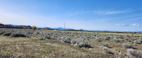 Lot 32 Silver Spur Rd, Weed, CA 96094