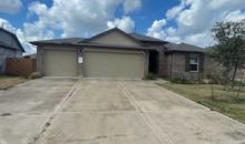 10402 Muir Peak Dr Rosharon, TX 77583