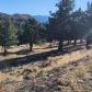 Lots 154 and 155 Stag Mountain Rd, Weed, CA 96094 ID:16162436