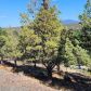Lots 154 and 155 Stag Mountain Rd, Weed, CA 96094 ID:16162437