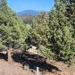 Lots 154 and 155 Stag Mountain Rd, Weed, CA 96094 ID:16162438