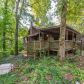 1532 COUNTY RD 60, Winfield, AL 35594 ID:16099035