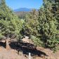 Lots 154 and 155 Stag Mountain Rd, Weed, CA 96094 ID:16163725