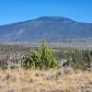 Lot 30 Hwy 97, Weed, CA 96094 ID:16059221