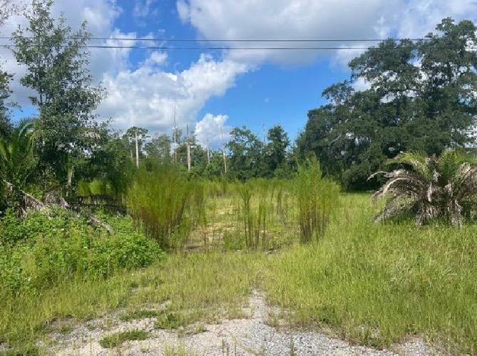 8729 E BAYHEAD CT, Youngstown, FL 32466