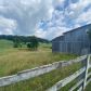 174 Grassy Valley Rd, Whitesburg, TN 37891 ID:16071570