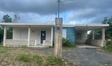 146 Rd Fronton Ward Ciales, PR 00638