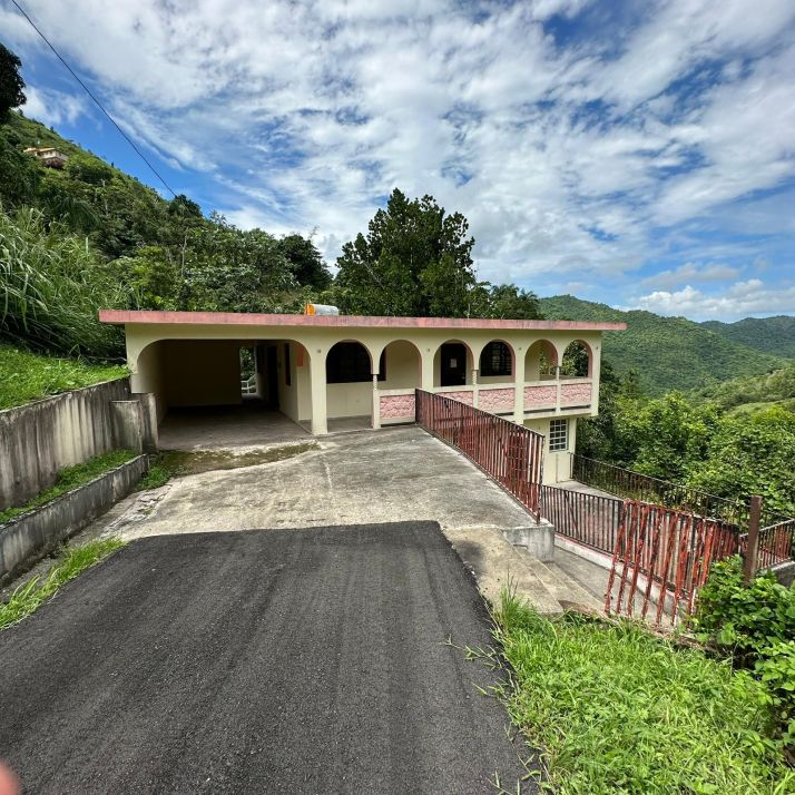 Lot B Carr 157 Km.Hm 1.7, Orocovis, PR 00720