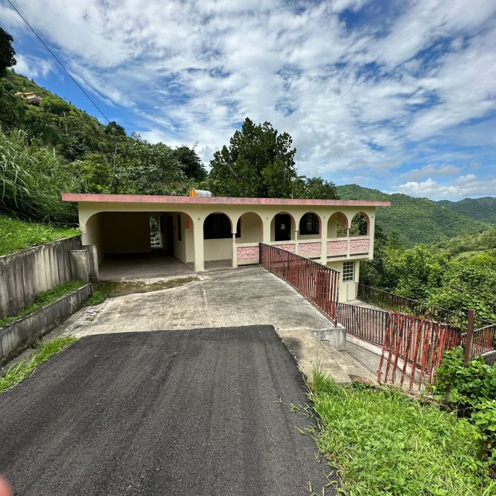 Lot B Carr 157  Km.Hm 1.7, Orocovis, PR 00720